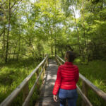 Cladagh Glen Nature Reserve